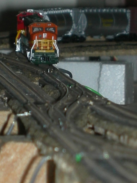 DSCN2654.jpg