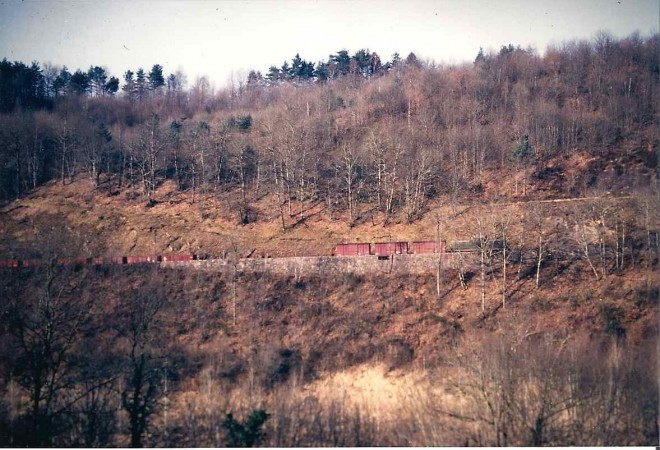 sc0000bb6102.jpg