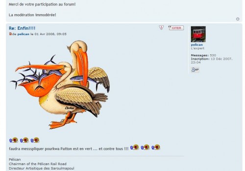 - Enfin!!!!' un Pélican stoppé-20.jpg