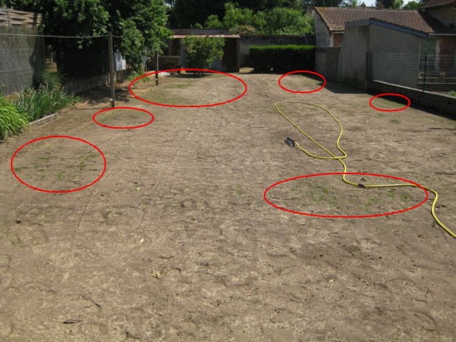 jardin 06 mai 2011 04 reduit.JPG
