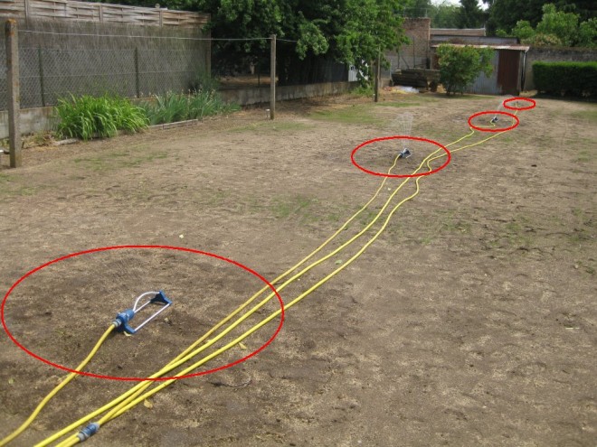 jardin 07 mai 2011 01 reduit.JPG