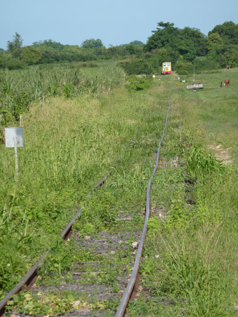 P1040400.jpg