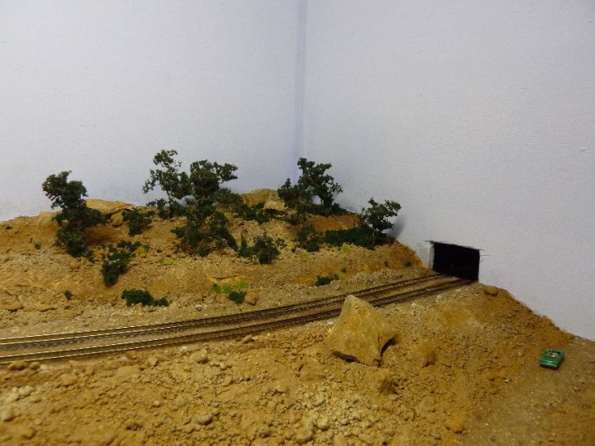 P1060084(1).JPG