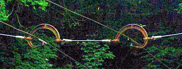 sansre2fg.jpg