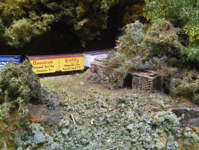 IMGP0990.JPG