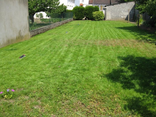 jardin 28 juin 2011 04 reduit.JPG