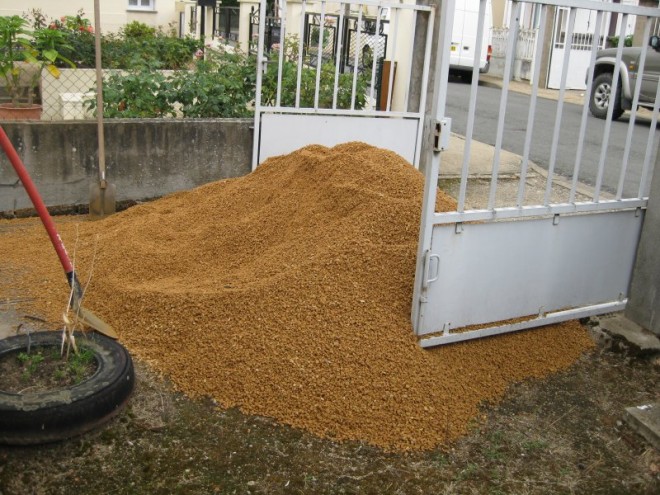 jardin 29 juin 2011 02 reduit.JPG