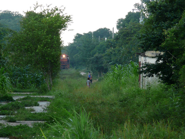 P1070383.jpg