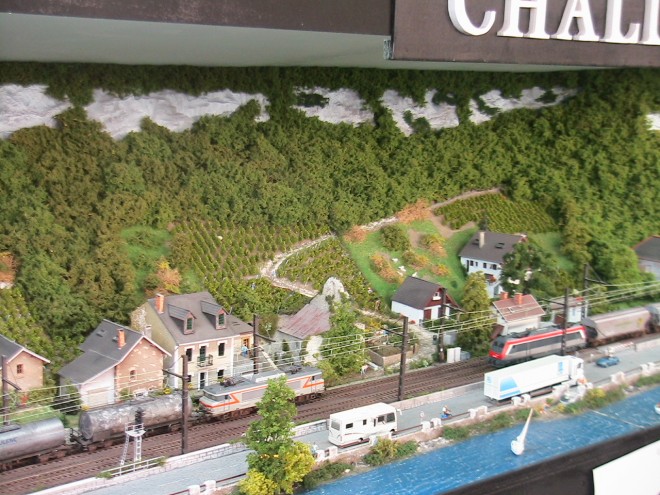 EXPO MIREPOIX 8 2011 056.JPG