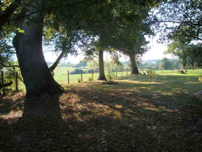 Pano2.jpg