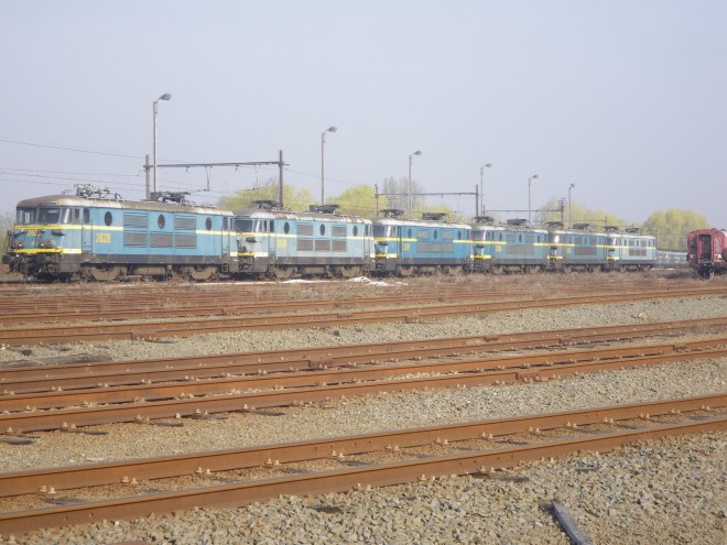 IMGP1260.JPG