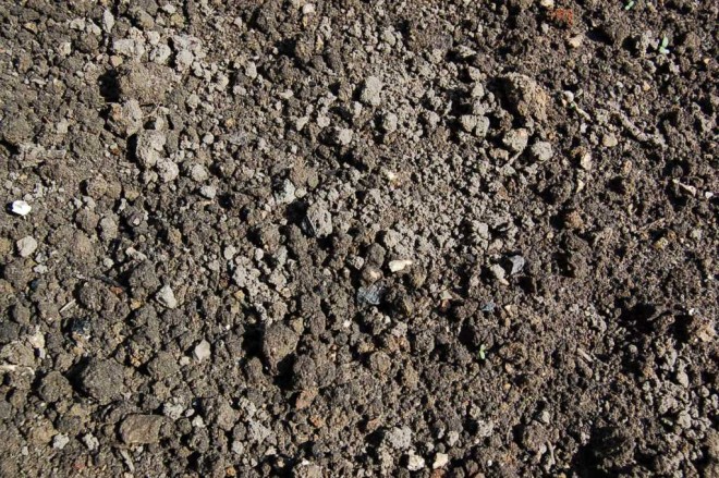 Terre du potager.JPG