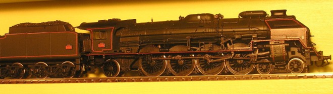 241 P fulgu (1).jpg