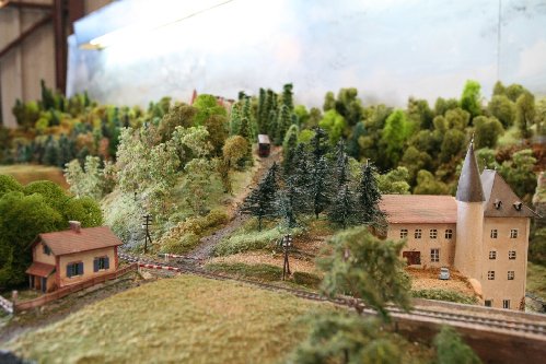 IMG_7647_1024.JPG