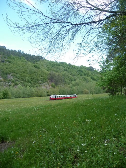 tn_P1090201.JPG