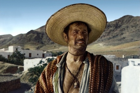 hollywoods-fake-latinos-20120313113140630-000.jpg
