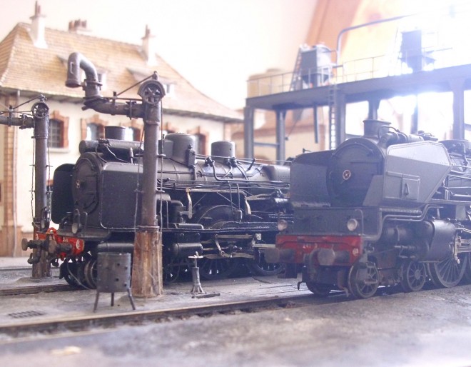 DSCI1923.JPG