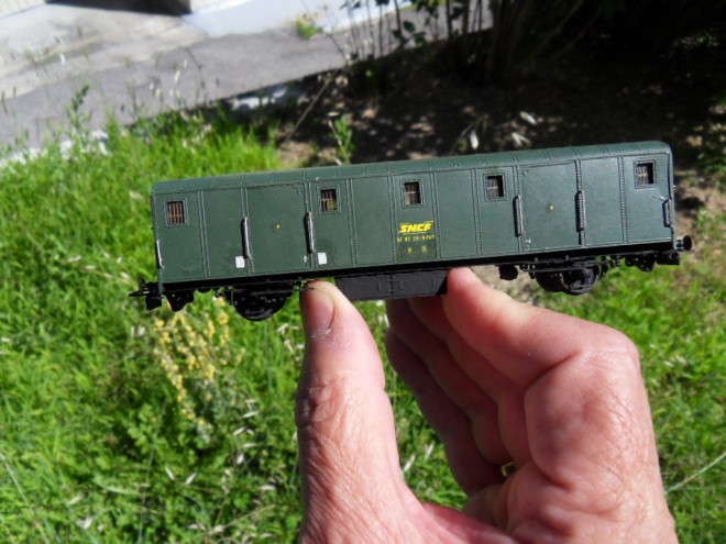 SDC14226.JPG