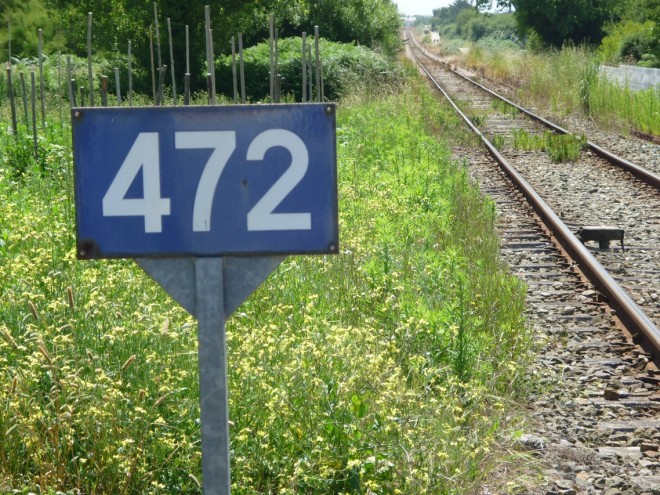 P1010095.JPG