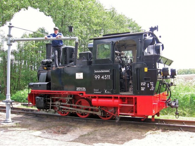 99 4511 pollo.jpg