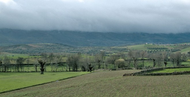 77-03-504portug-bragance-mirandela.jpg