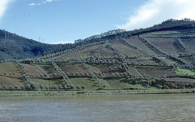 77-03-621portug-tua-regua.jpg