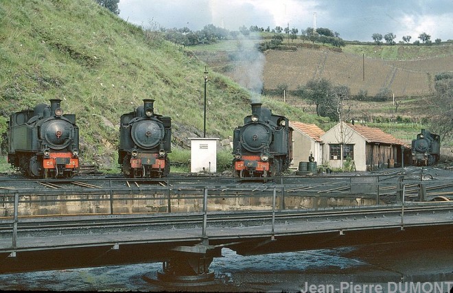 77-03-635portug-regua.jpg