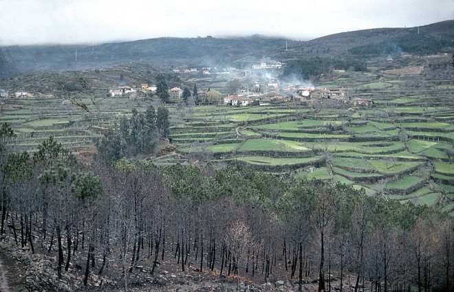 77-03-716portug-chaves-regua.jpg