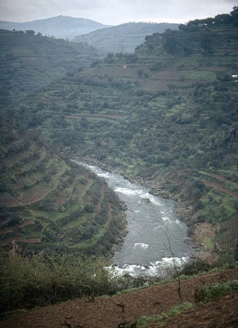 77-03-729portug-chaves-regua.jpg