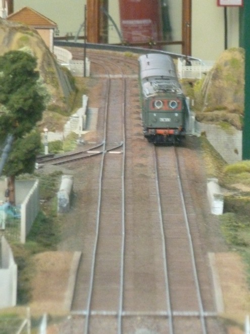 P1000564.JPG