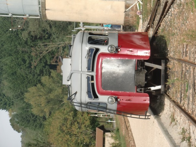 CIMG1985.JPG