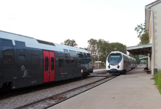 DSCI1441 bis.jpg
