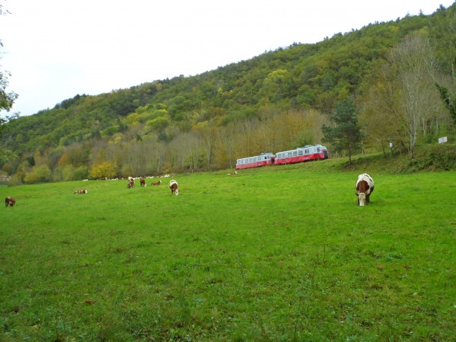 photos du train 008.jpg