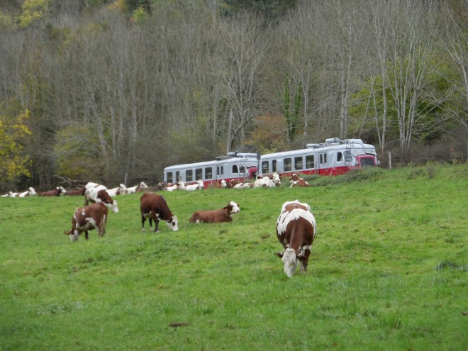 photos du train 009.jpg