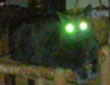 383.jpg