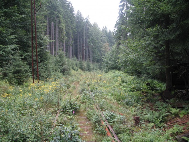 Neuwelt - Zackenbahn ( Hirschberg-Polaun) 2006.jpg