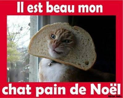 chatpain.jpg
