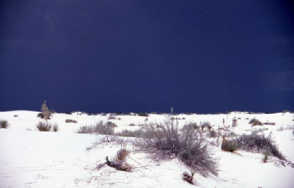 File0058s.jpg