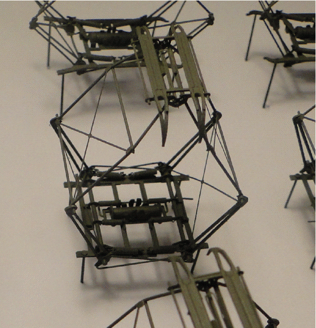 photo 2.gif