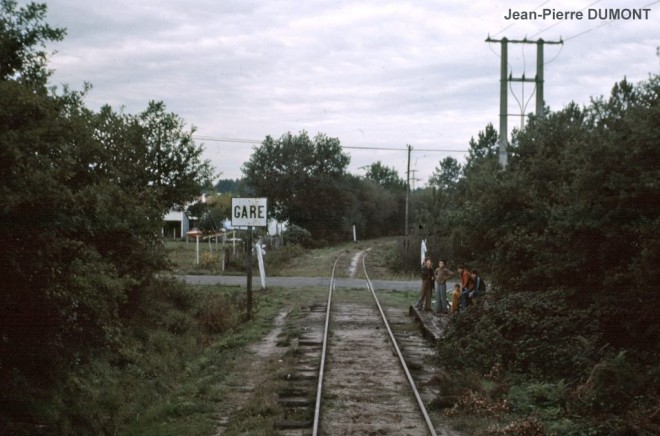76-10-310jp.jpg