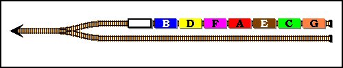 7BDFAECGp.jpg