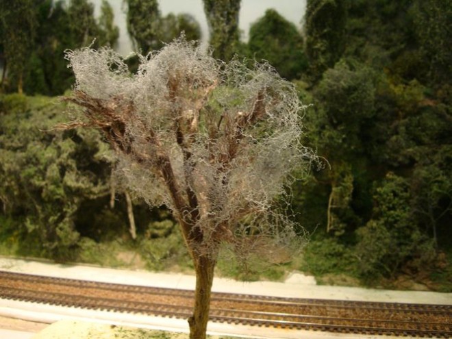 Arbre étape 09.JPG