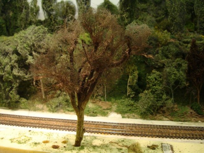 Arbre étape 11.JPG