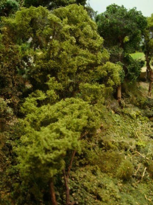 Arbres étape 17.JPG