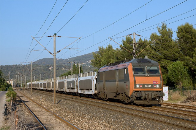 726.jpg