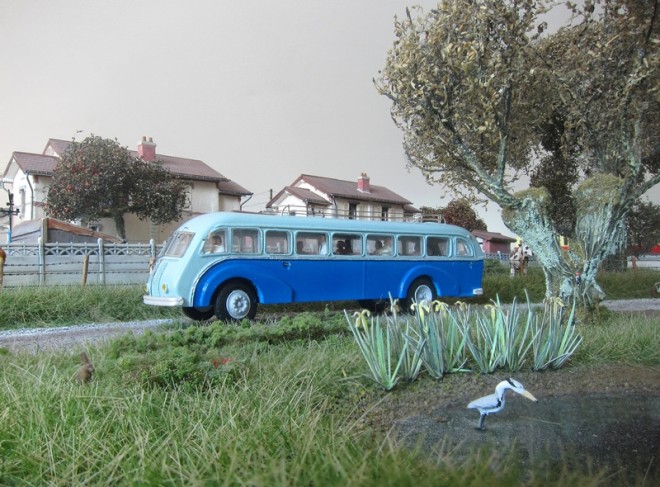 car_005.JPG