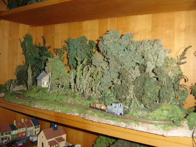 DSC06576.JPG
