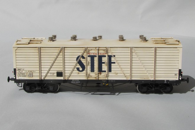 STEF 2.jpg