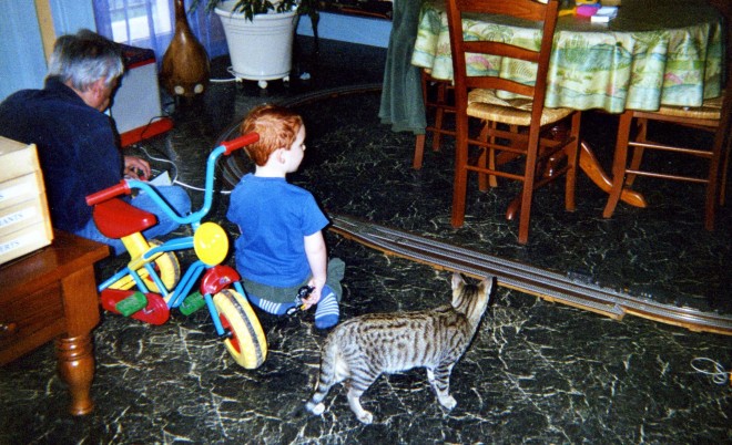 img008.jpg