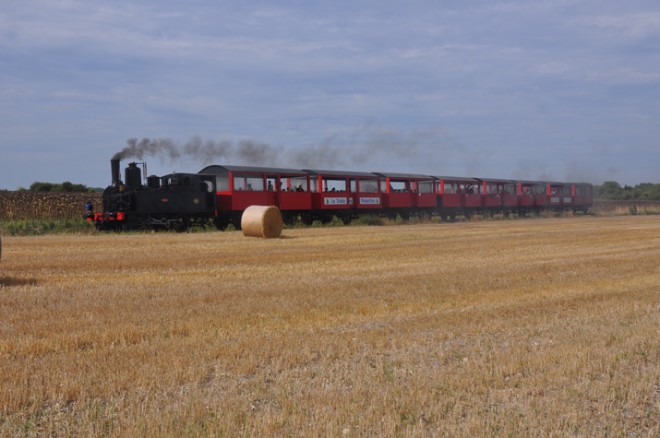DSC_0307.JPG